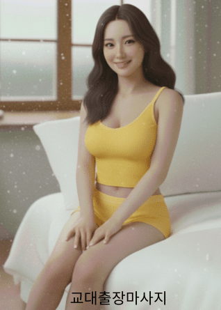 나파라 교대출장안마