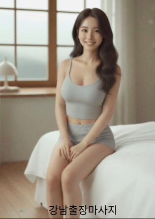 나파라출장 강남출장안마