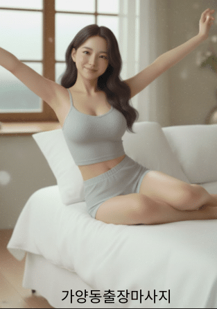 나파라출장 가양동출장안마